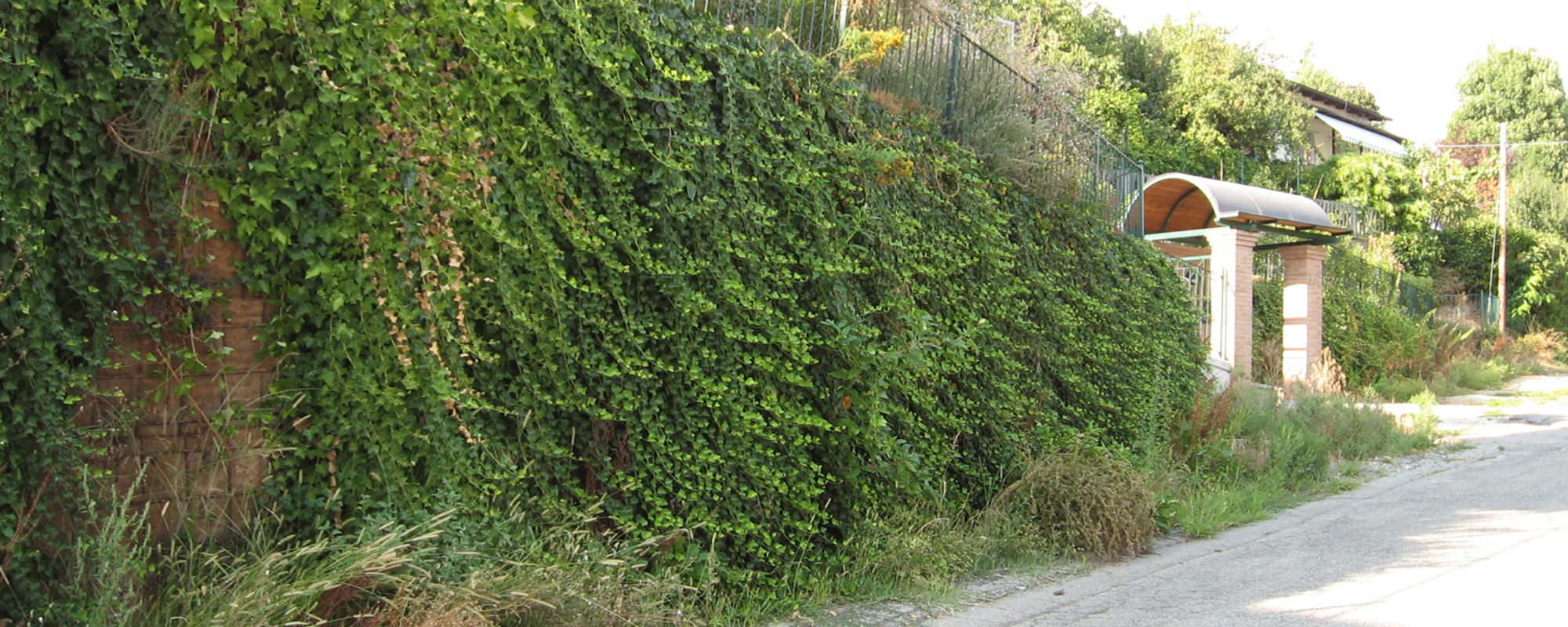 Coperture - Giardini Pensili