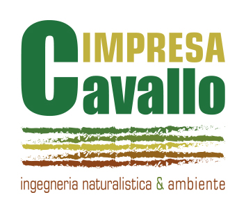 Impresa di costruzioni Cavallo